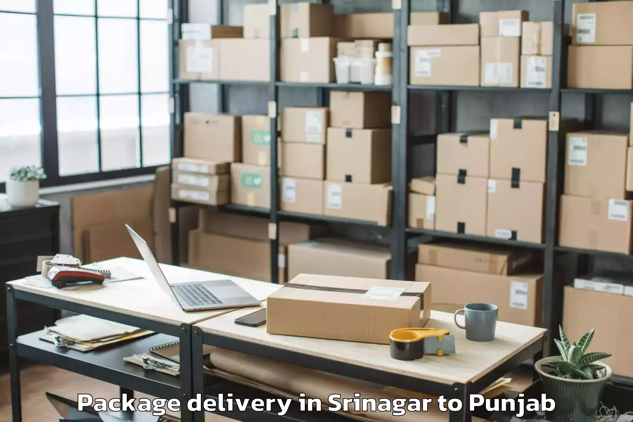 Trusted Srinagar to Kartarpur Package Delivery